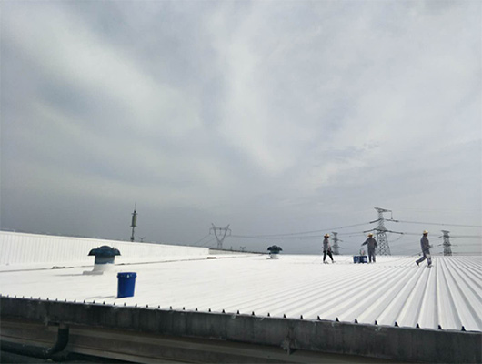 劲酒包装厂房屋面